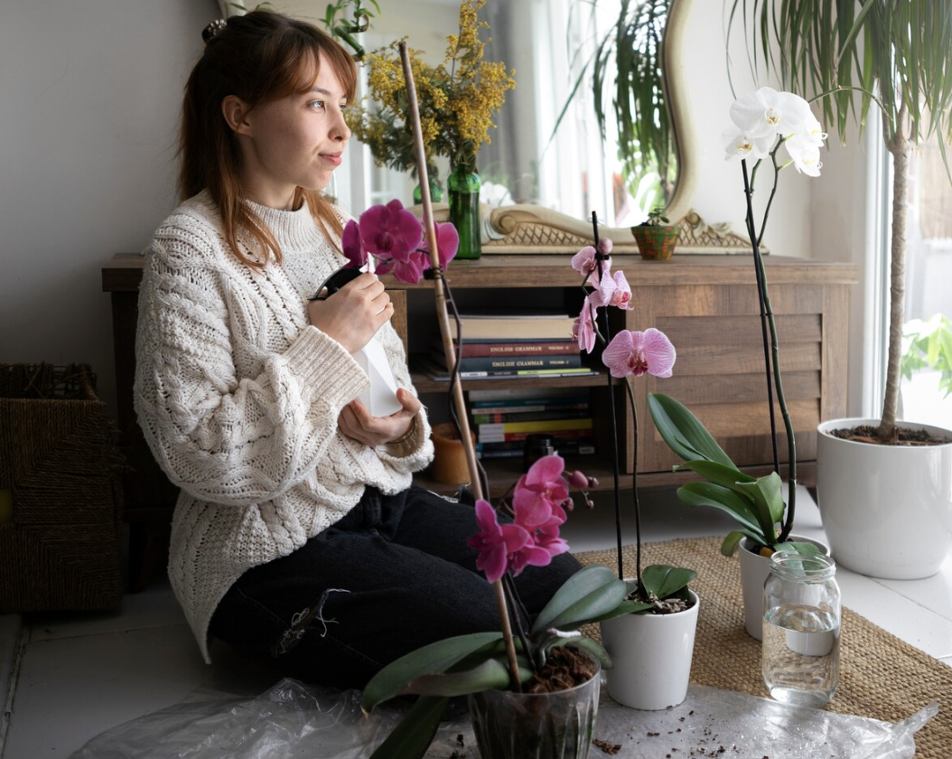 Beautiful Indoor Potted Plants for Every Home